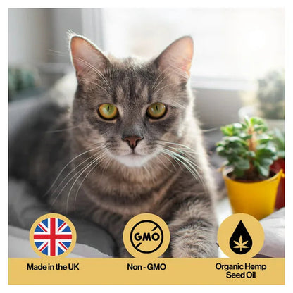 Infusions Skin & Coat Hemp Oil For Pets (300ml) – product image 5 – pet skin & coat supplement