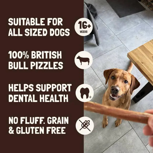 Koala Pets Natural Beef Pizzle Dog Chews – 10 x 12cm additional product information