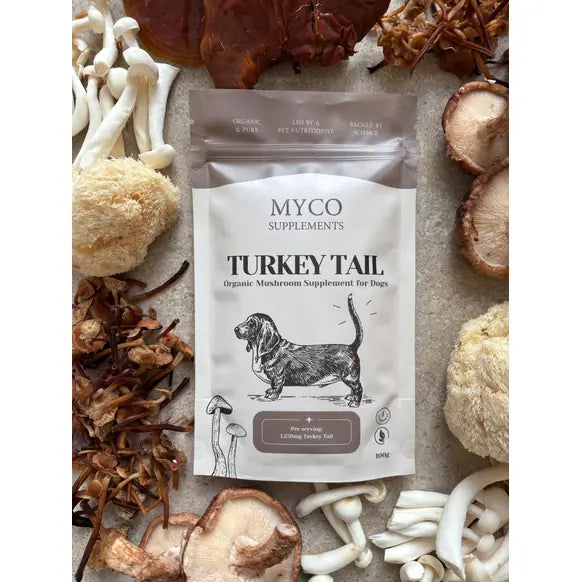 Myco Supplements Organic Turkey Tail Mushroom Powder for Dogs 100g natural dog digestive and gut health supplement