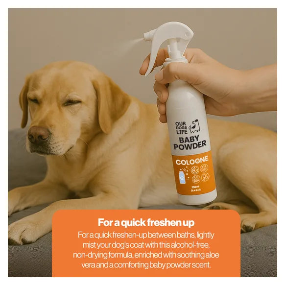 OurDogsLife Baby Powder Scented Dog Spray (250ml) – product image 5 – dog grooming