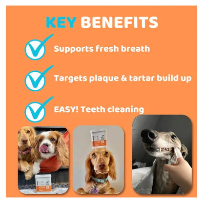 OurDogsLife Dental Cleaning Wipes for Dogs – product image 2 – dog dental care