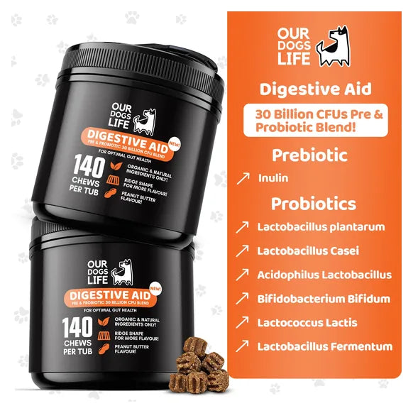 OurDogsLife Digestive Chews for Dogs (140 Chews Per Tub) – product image 3 – dog digestive support