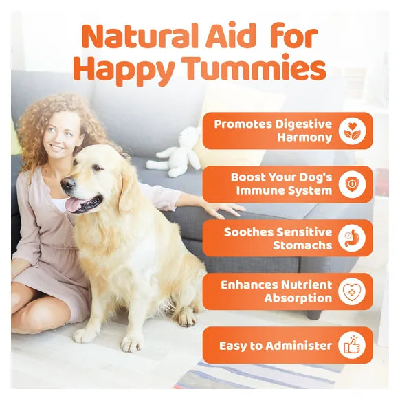 OurDogsLife Digestive Chews for Dogs (140 Chews Per Tub) – product image 6 – dog digestive support
