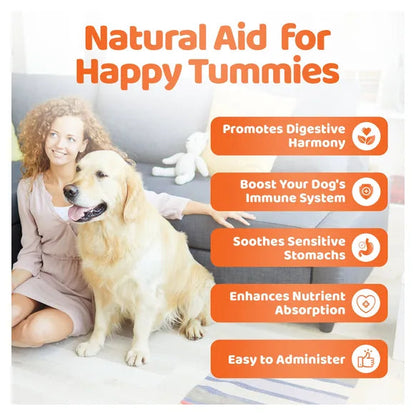OurDogsLife Digestive Chews for Dogs (140 Chews Per Tub) – product image 6 – dog digestive support