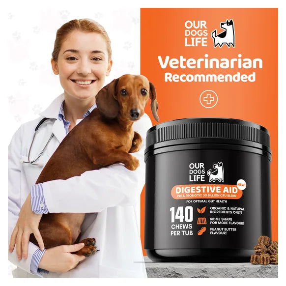OurDogsLife Digestive Chews for Dogs (140 Chews Per Tub) – product image 8 – dog digestive support