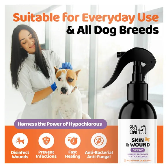OurDogsLife Dog Antiseptic Spray (250ml) – product image 3 – dog skin & coat care