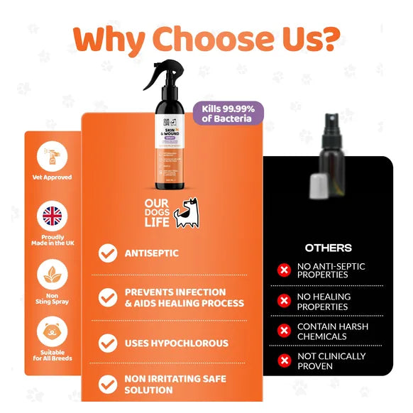 OurDogsLife Dog Antiseptic Spray (250ml) – product image 4 – dog skin & coat care