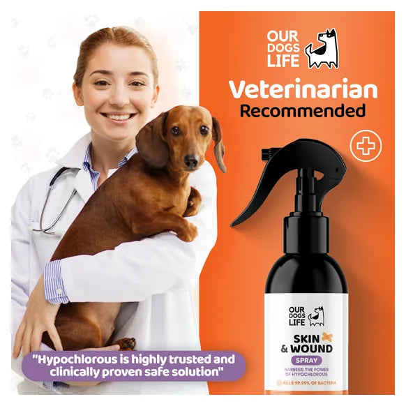 OurDogsLife Dog Antiseptic Spray (250ml) – product image 7 – dog skin & coat care