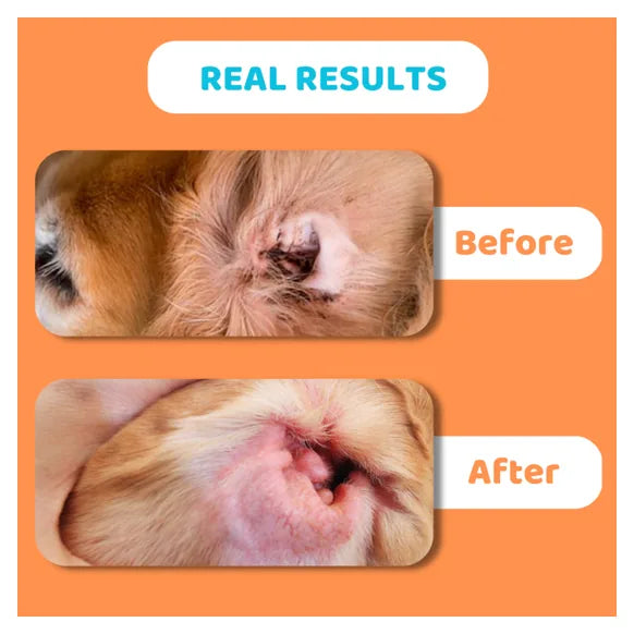 OurDogsLife Dog Ear Wipes – product image 6 – dog ear & eye care