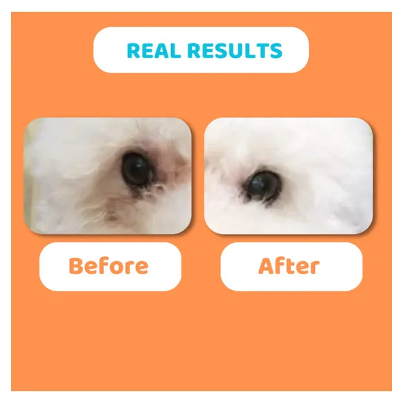 OurDogsLife Dog Eyewash Drops – product image 2 – dog ear & eye care