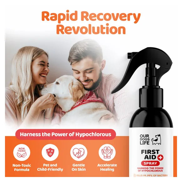 OurDogsLife Dog First Aid Kit Spray (250ml) – product image 3 – dog first aid & recovery