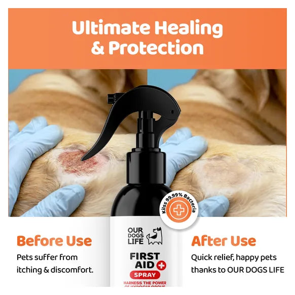 OurDogsLife Dog First Aid Kit Spray (250ml) – product image 5 – dog first aid & recovery