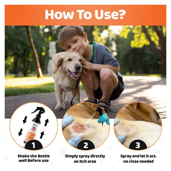 OurDogsLife Dog First Aid Kit Spray (250ml) – product image 6 – dog first aid & recovery