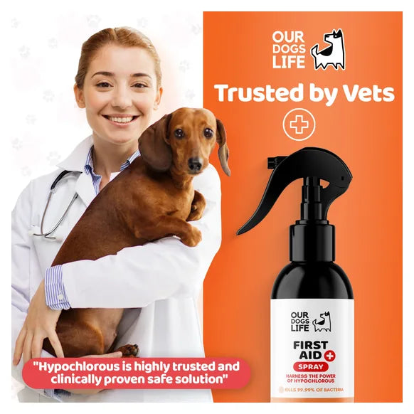 OurDogsLife Dog First Aid Kit Spray (250ml) – product image 7 – dog first aid & recovery