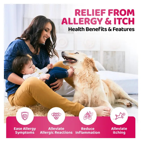 OurDogsLife Dog Itch & Allergy Relief (200ml) – product image 5 – dog skin & coat care