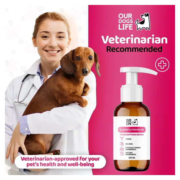 OurDogsLife Dog Itch & Allergy Relief (200ml) – product image 7 – dog skin & coat care