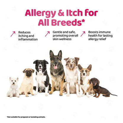OurDogsLife Dog Itch & Allergy Relief (200ml) – product image 8 – dog skin & coat care