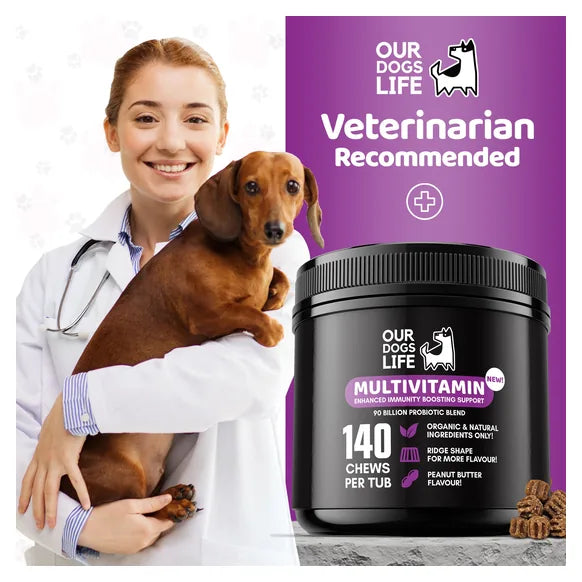 OurDogsLife Dog Multivitamin Chews (140 Chews Per Tub) – product image 7 – dog vitamins & wellness
