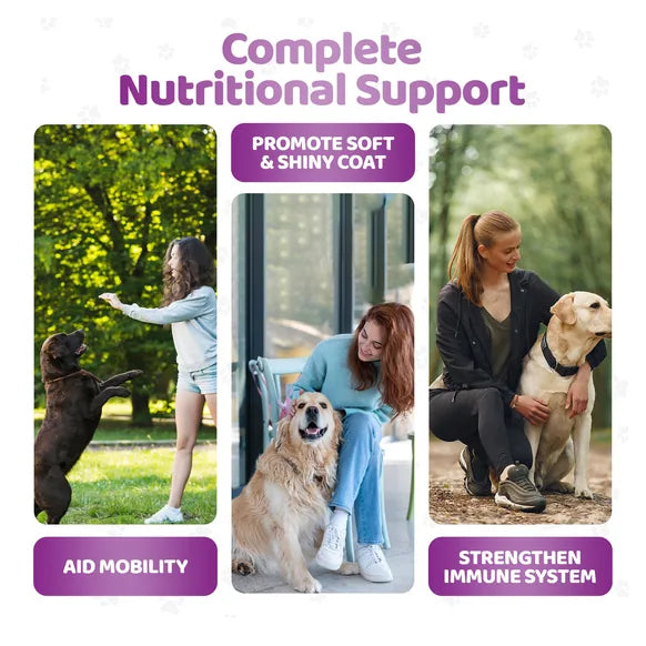 OurDogsLife Dog Multivitamin Chews (140 Chews Per Tub) – product image 9 – dog vitamins & wellness