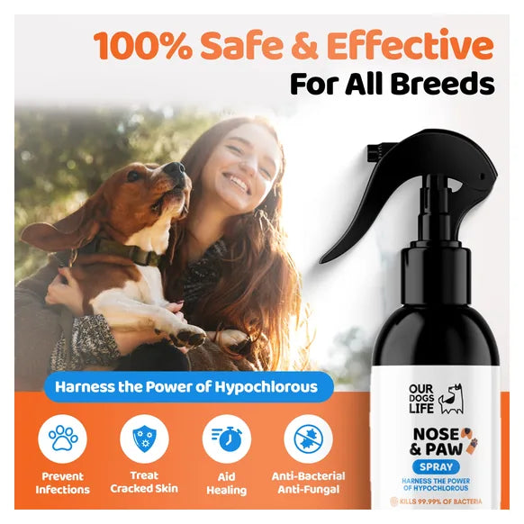 OurDogsLife Dog Paw & Nose Cleaner Spray (250ml) – product image 3 – dog cleaning & odour control