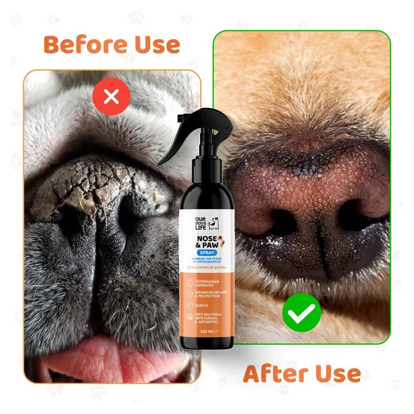 OurDogsLife Dog Paw & Nose Cleaner Spray (250ml) – product image 5 – dog cleaning & odour control