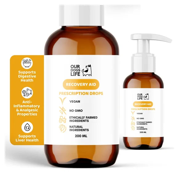 OurDogsLife Dog Recovery Supplement Drops (200ml) – product image 2 – dog first aid & recovery