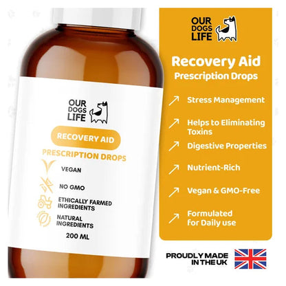 OurDogsLife Dog Recovery Supplement Drops (200ml) – product image 3 – dog first aid & recovery