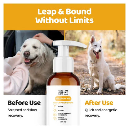 OurDogsLife Dog Recovery Supplement Drops (200ml) – product image 4 – dog first aid & recovery