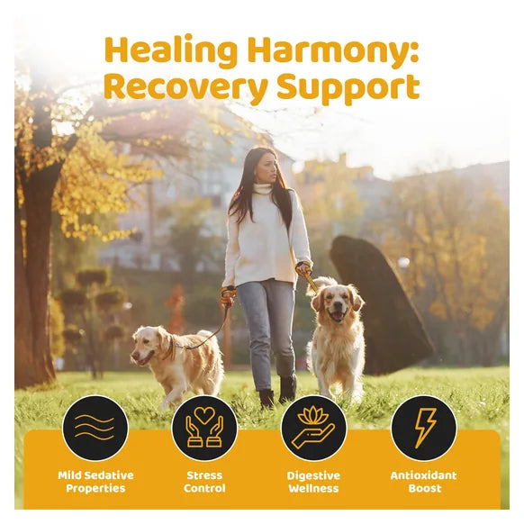 OurDogsLife Dog Recovery Supplement Drops (200ml) – product image 6 – dog first aid & recovery