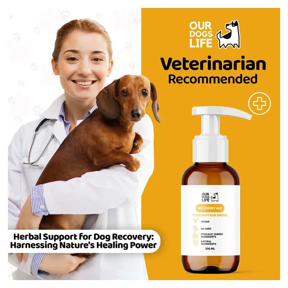 OurDogsLife Dog Recovery Supplement Drops (200ml) – product image 8 – dog first aid & recovery