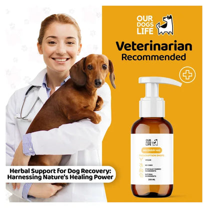 OurDogsLife Dog Recovery Supplement Drops (200ml) – product image 8 – dog first aid & recovery