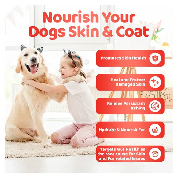 OurDogsLife Dog Skin and Coat Supplement (140 Chews Per Tub) – product image 5 – dog skin & coat care