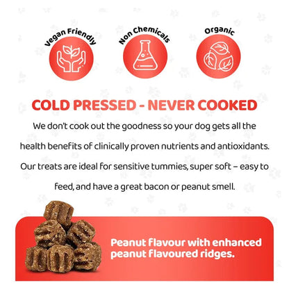 OurDogsLife Dog Skin and Coat Supplement (140 Chews Per Tub) – product image 6 – dog skin & coat care
