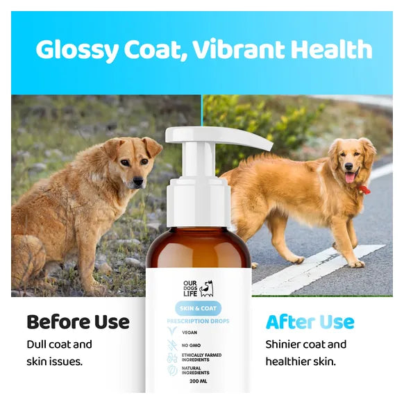 OurDogsLife Dog Skin & Coat Supplement (200ml) – product image 4 – dog skin & coat care