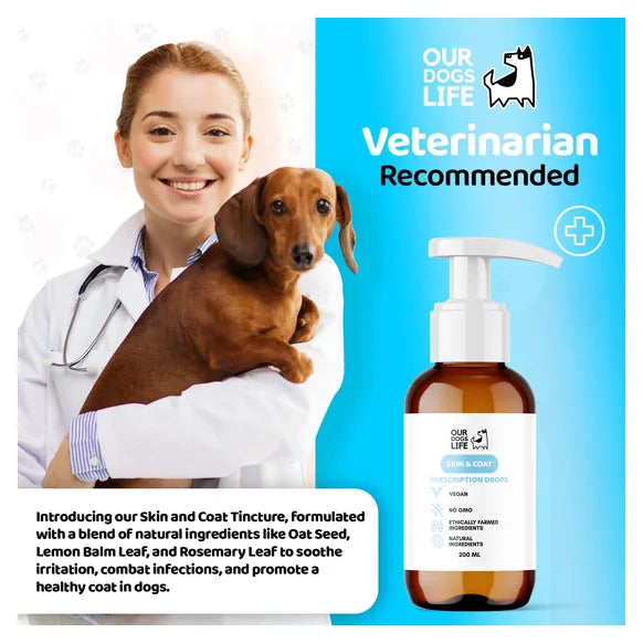 OurDogsLife Dog Skin & Coat Supplement (200ml) – product image 7 – dog skin & coat care