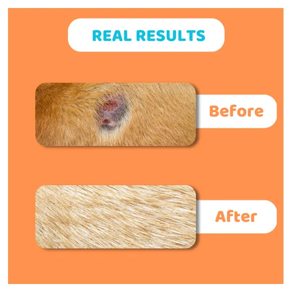 OurDogsLife Dog Skin Itch Balm – product image 2 – dog skin & coat care