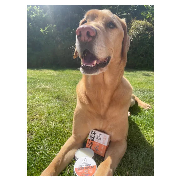 OurDogsLife Dog Skin Itch Balm – product image 4 – dog skin & coat care
