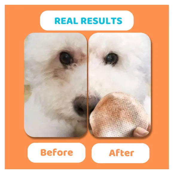 OurDogsLife Eye Wipes – product image 2 – dog ear & eye care