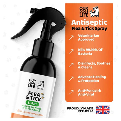 OurDogsLife Flea & Tick Treatment Spray for Dogs (250ml) – product image 2 – dog skin & coat care