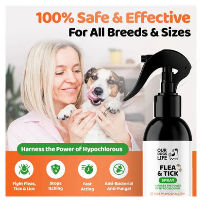 OurDogsLife Flea & Tick Treatment Spray for Dogs (250ml) – product image 3 – dog skin & coat care