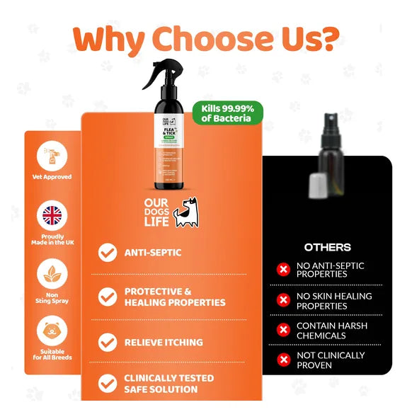 OurDogsLife Flea & Tick Treatment Spray for Dogs (250ml) – product image 4 – dog skin & coat care