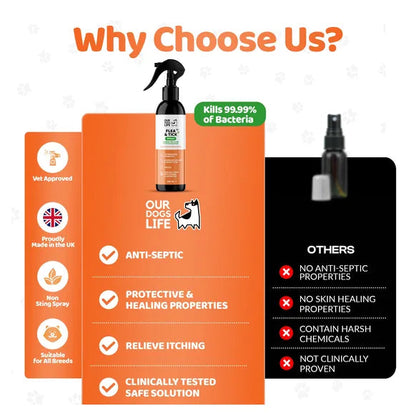 OurDogsLife Flea & Tick Treatment Spray for Dogs (250ml) – product image 4 – dog skin & coat care
