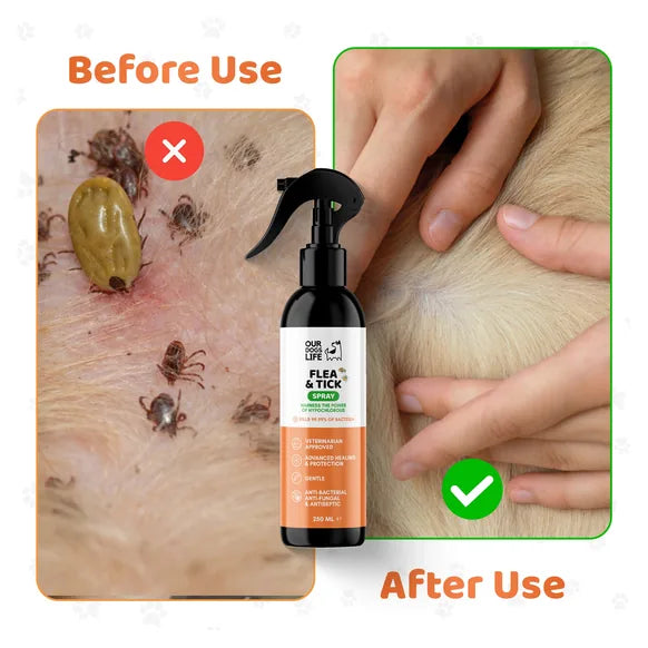 OurDogsLife Flea & Tick Treatment Spray for Dogs (250ml) – product image 5 – dog skin & coat care