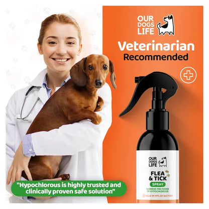 OurDogsLife Flea & Tick Treatment Spray for Dogs (250ml) – product image 7 – dog skin & coat care