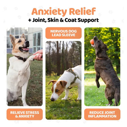 OurDogsLife Hemp Seed Oil For Dogs – product image 4 – dog calming support