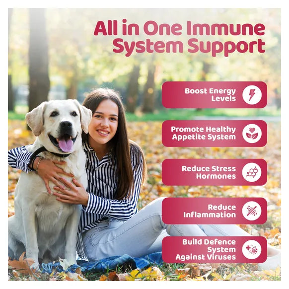 OurDogsLife Immunity Shield Chews (140 Chews Per Tub) – product image 5 – dog vitamins & wellness