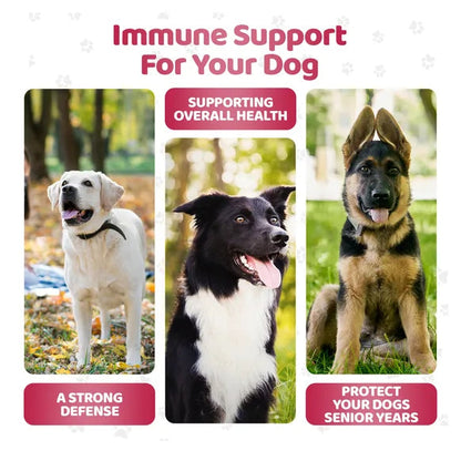 OurDogsLife Immunity Shield Chews (140 Chews Per Tub) – product image 7 – dog vitamins & wellness