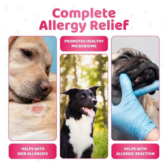 OurDogsLife Itch Relief Dog Chews (140 Chews Per Tub) – product image 5 – dog skin & coat care