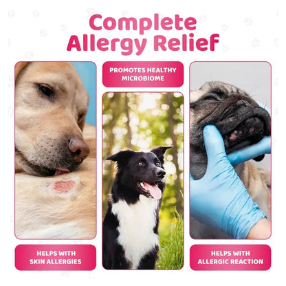 OurDogsLife Itch Relief Dog Chews (140 Chews Per Tub) – product image 5 – dog skin & coat care