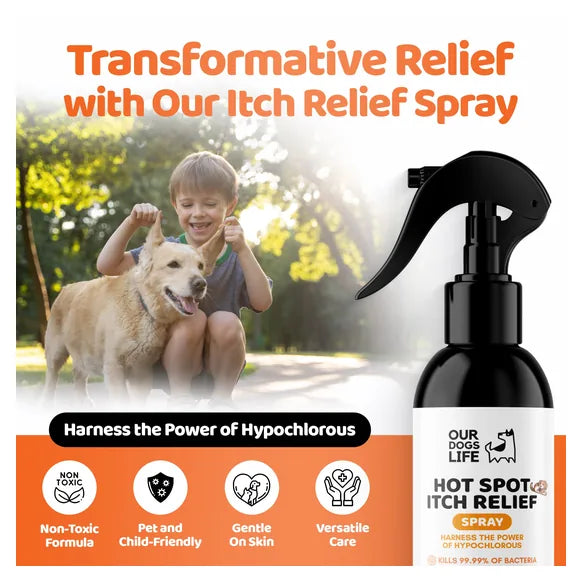 OurDogsLife Itch Spray for Dogs (250ml) – product image 3 – dog skin & coat care